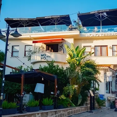 Hotel Mono 3*